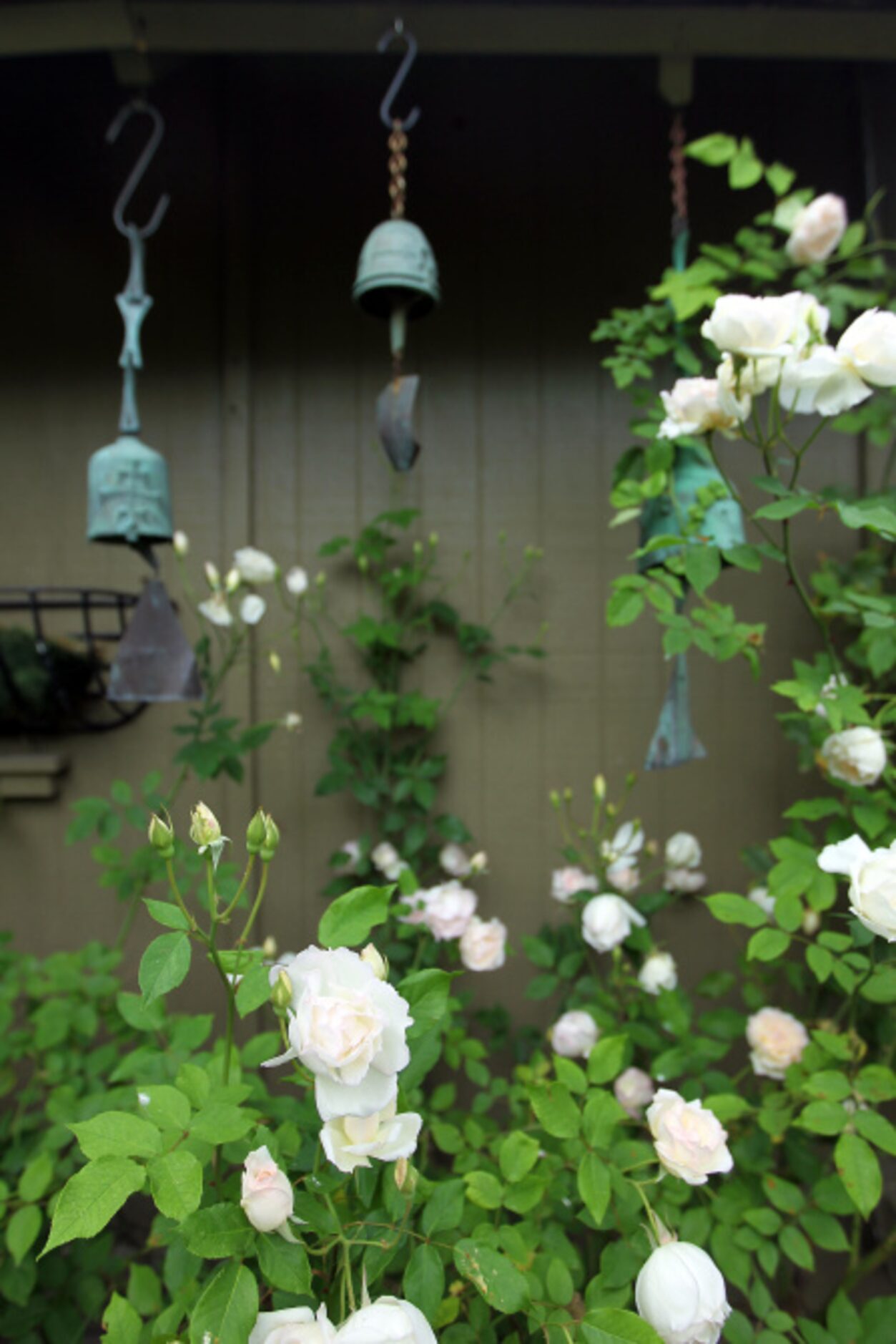 Vintage Paolo Soleri bells of bronze are suspended under the eaves of the garden shed.