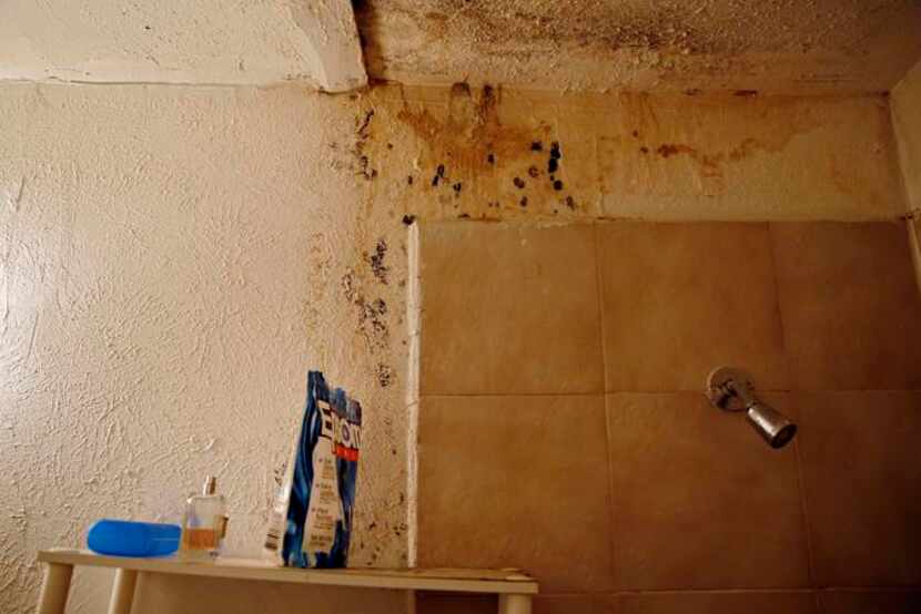 
Mold and water damage stain a bathroom at the Bel-Air Place apartments in Lancaster. 
