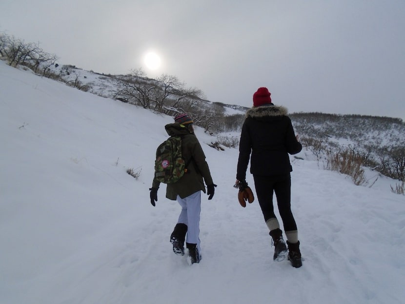 In Ogden, Utah, take a hike up Waterfall Canyon Trail to see the 200-foot waterfall frozen...