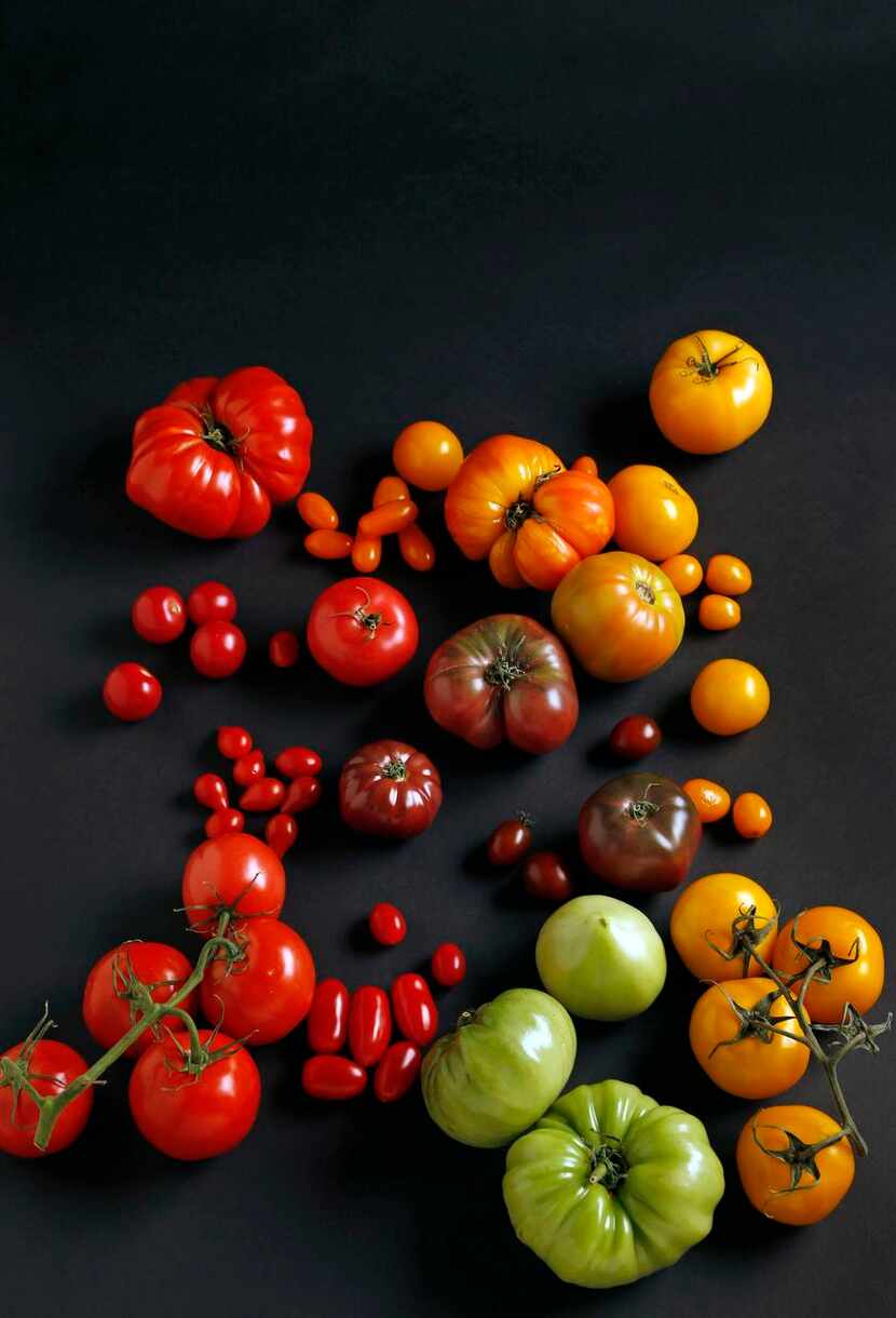 
There’s no shortage of fresh tomatoes this season — and there are plenty of ways to make...