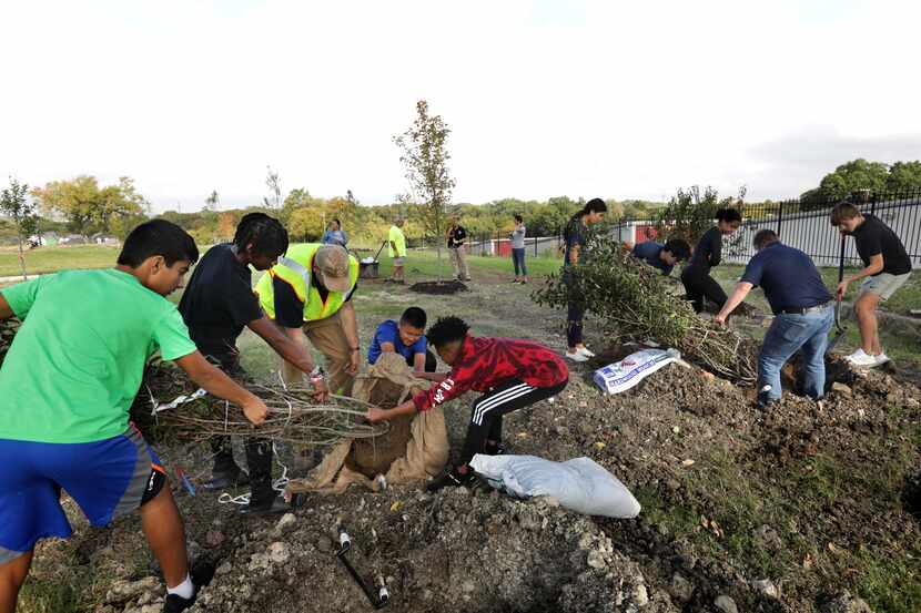 Under the direction of the Texas Trees Foundation, Far East Dallas residents gathered to...