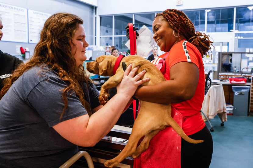 Keoshia Tuckers hands "Watermelon" over to Sarah Ortiz, 21, after she adopted her at the...