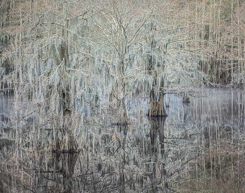  Caddo Lake Â© Charles Cramer