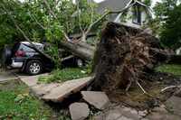 A tree uprooted and crushed Neil Peake's car on Friday, May 17, 2024 at The Heights in...