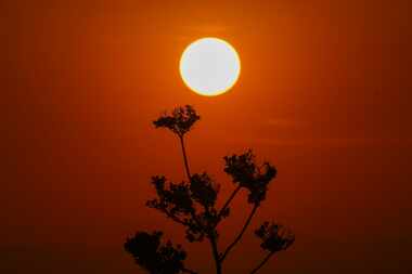Sale el sol en medio de altas temperaturas en Ciudad de México, el 23 de mayo de 2024.