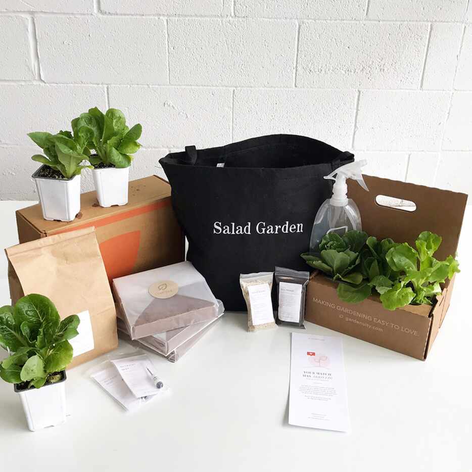 Salad garden kit from Dallas-based e-commerce startup Gardenuity.