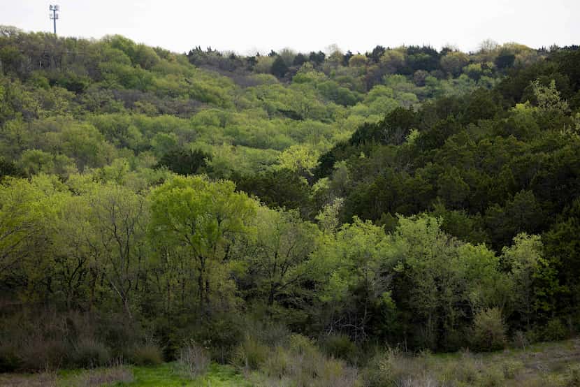 A portion of the Big Cedar Wilderness photographed on Saturday, March 18, in Dallas. The...