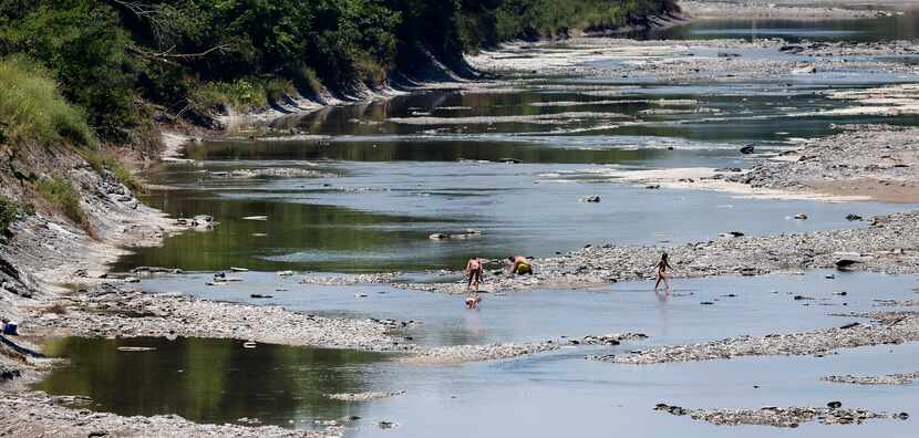 A family searches for fossils in the Sulphur River where the Upper Trinity Regional Water...