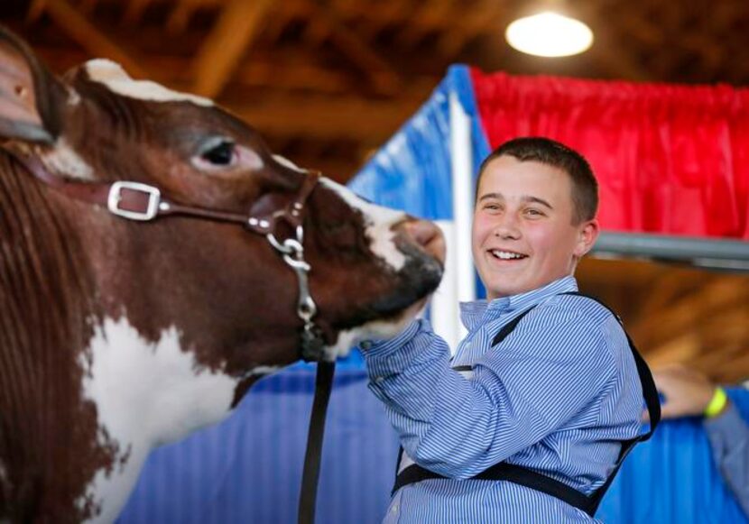 
Payton Herzog, 13, of Robinson had a big smile for Buzz after the British shorthorn he...