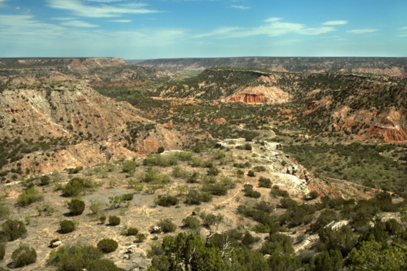 Terrain of contrasting colors - green from junipers, cactus and live oaks and red from its...