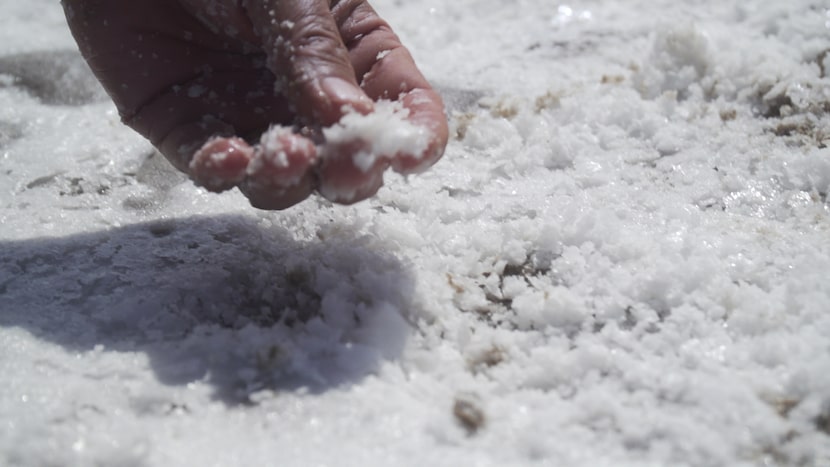 Adán Medrano interviews historian Homero Vera at La Sal del Ray, a natural salt lake near...