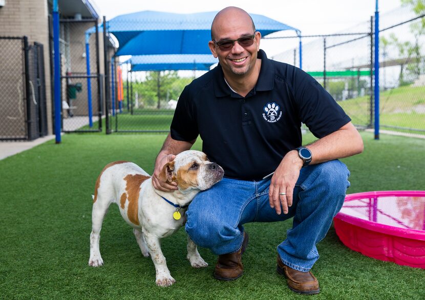 Dallas Animal Services Director Ed Jamison, with Tank (A1099286) at Dallas Animal Services....