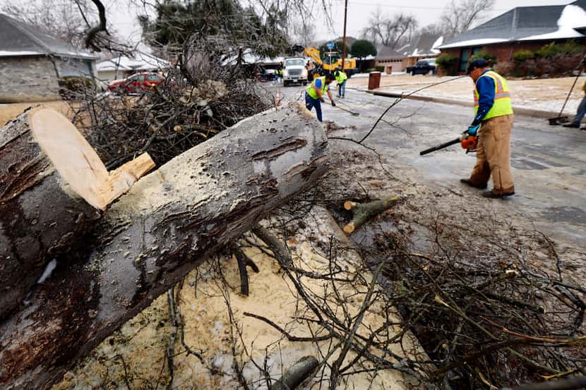 A public works employees clears a downed, ice-covered tree in Arlington, Texas, February 2,...