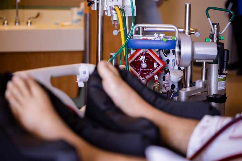 En esta fotografía se ve una máquina de oxigenación llamada ECMO, la cual saca la sangre del...