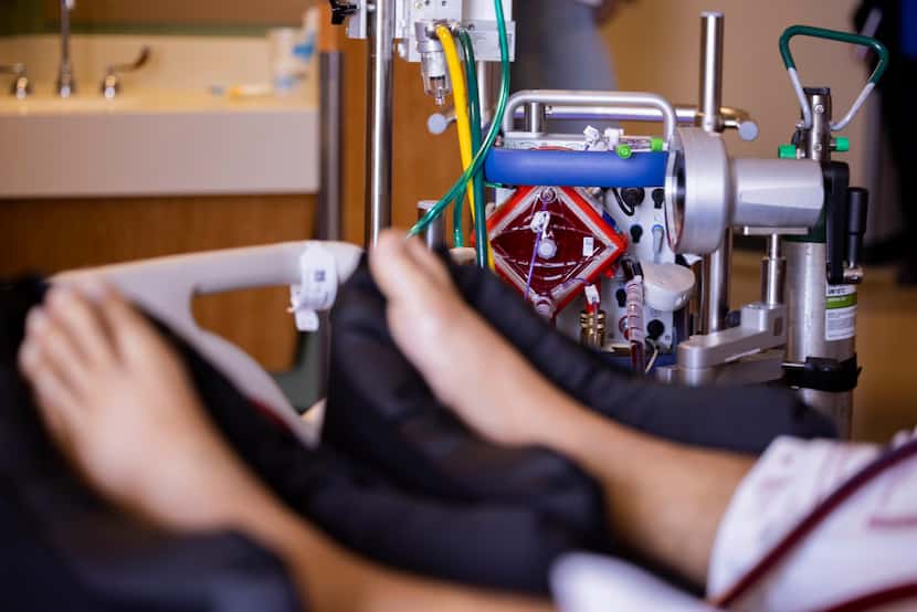 An extracorporeal membrane oxygenation, or ECMO, machine pulls blood outside of a patient's...