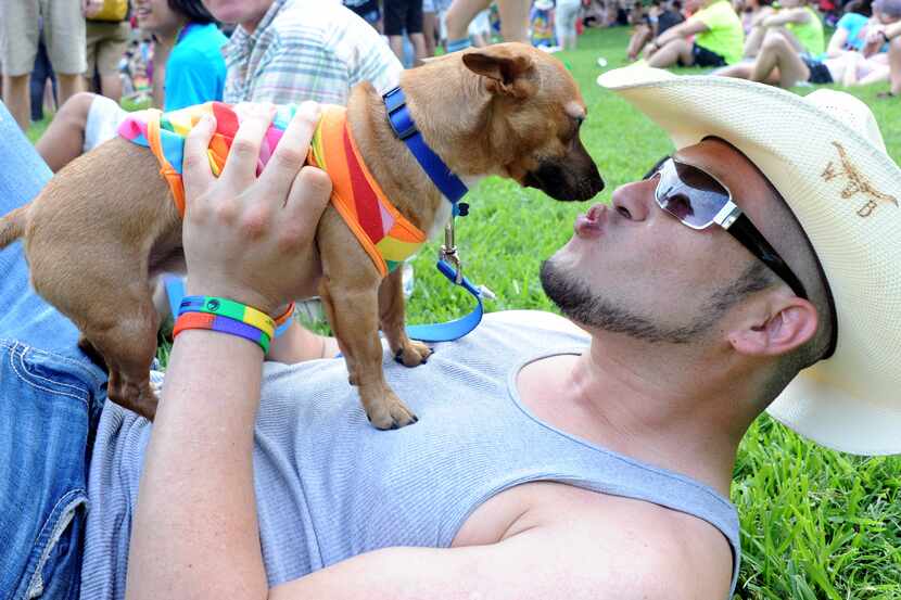 David Suarez played with 8-month-old Chihuahua Rover at the 30th annual Dallas Pride Parade...