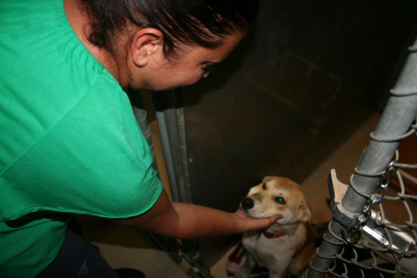 Part-time Lancaster Shelter employee Katherine Corrao checks in on one of the residents.