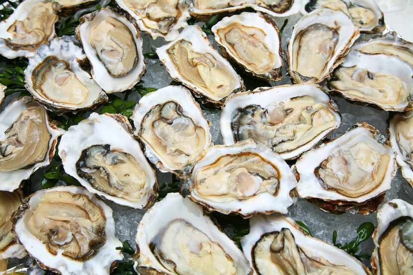 Comer ostras crudas es un riesgo para la salud