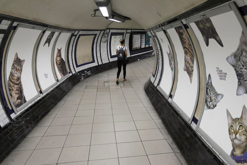 Posters featuring cats surround commuters at the Clapham Common Tube station in London.
