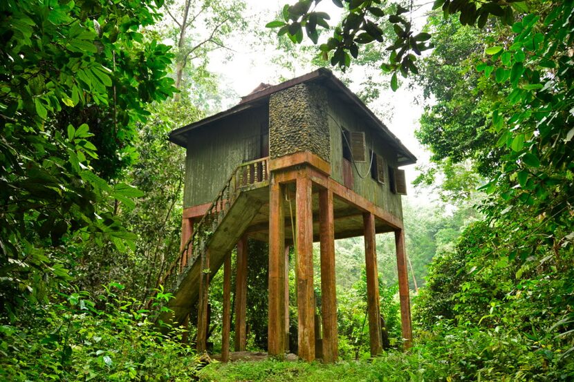 The first hide stay on a jungle hike in Taman Negara, Malaysia.