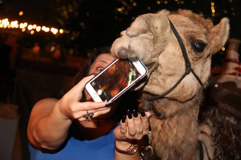 Mande Baysinger and Irenie the camel got up close and personal.