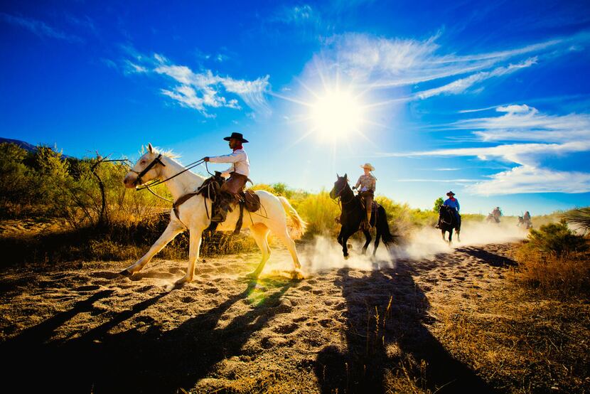 Established in 1868, Tanque Verde Ranch offers guests an authentic dude ranch experience.