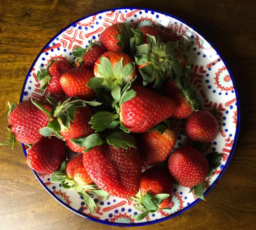 Ripe strawberries in season