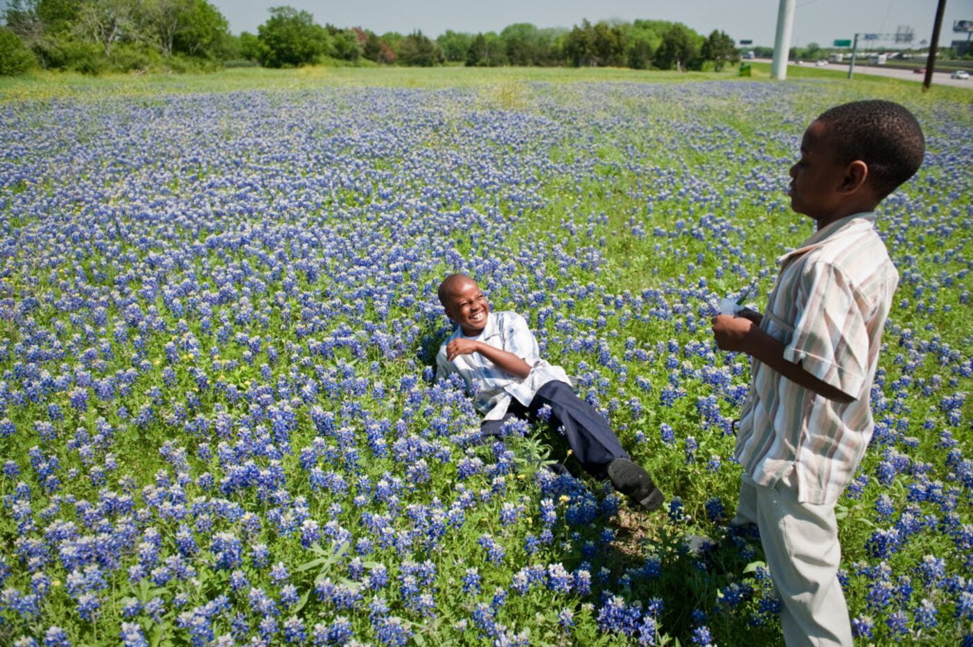 Terrance Dean Jr., left, plays with his brother Savant Taylor, right, in a field of blue...