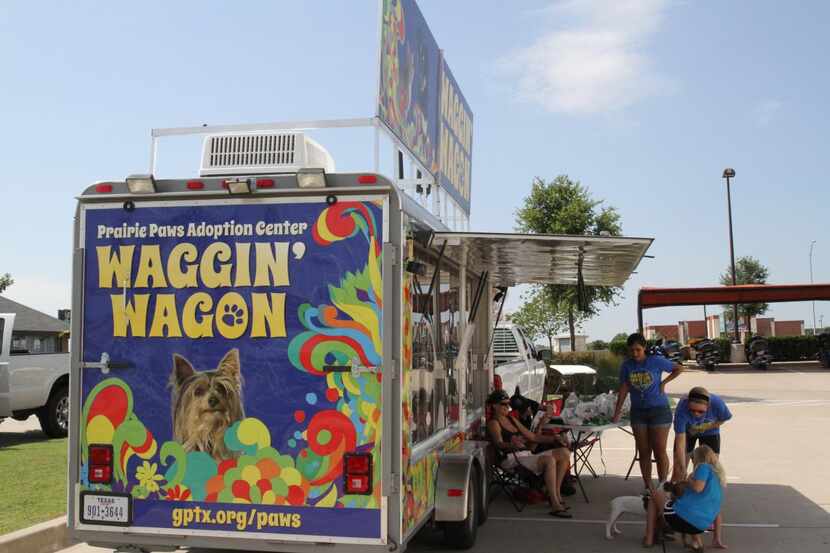 
The Waggin’ Wagon showcases dogs and cats from Prairie Paws Adoption Center in Grand...
