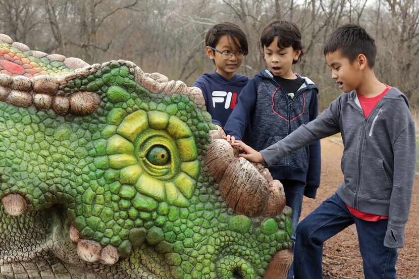 Kingston Le, Xavier Vu and Dominic Vu examine a dinosaur on the nature trail at the Heard...