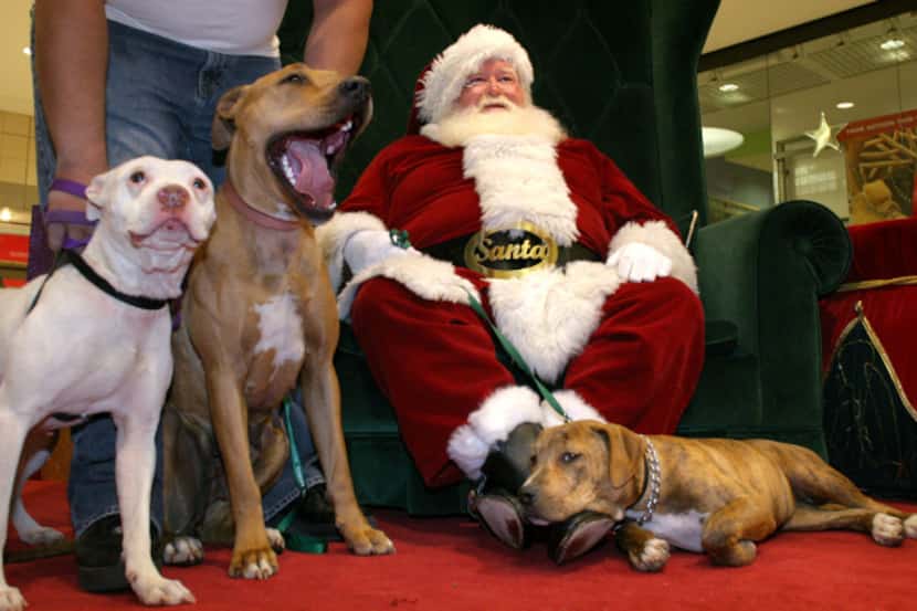 Pets can visit Santa Mondays at Town East Mall in Mesquite.
