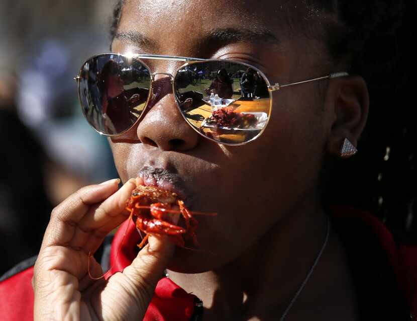 Zipporah Bush eats a crawfish at the 4th Annual Mudbug Bash in Main Street Garden in...