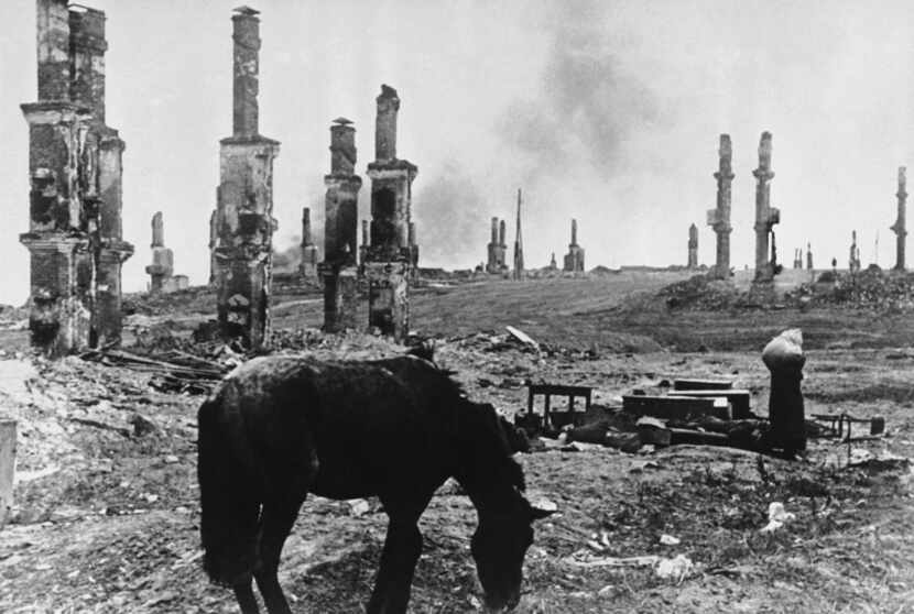 In this photo taken on Dec. 18, 1942, an abandoned horse grazes among the ruins of the...
