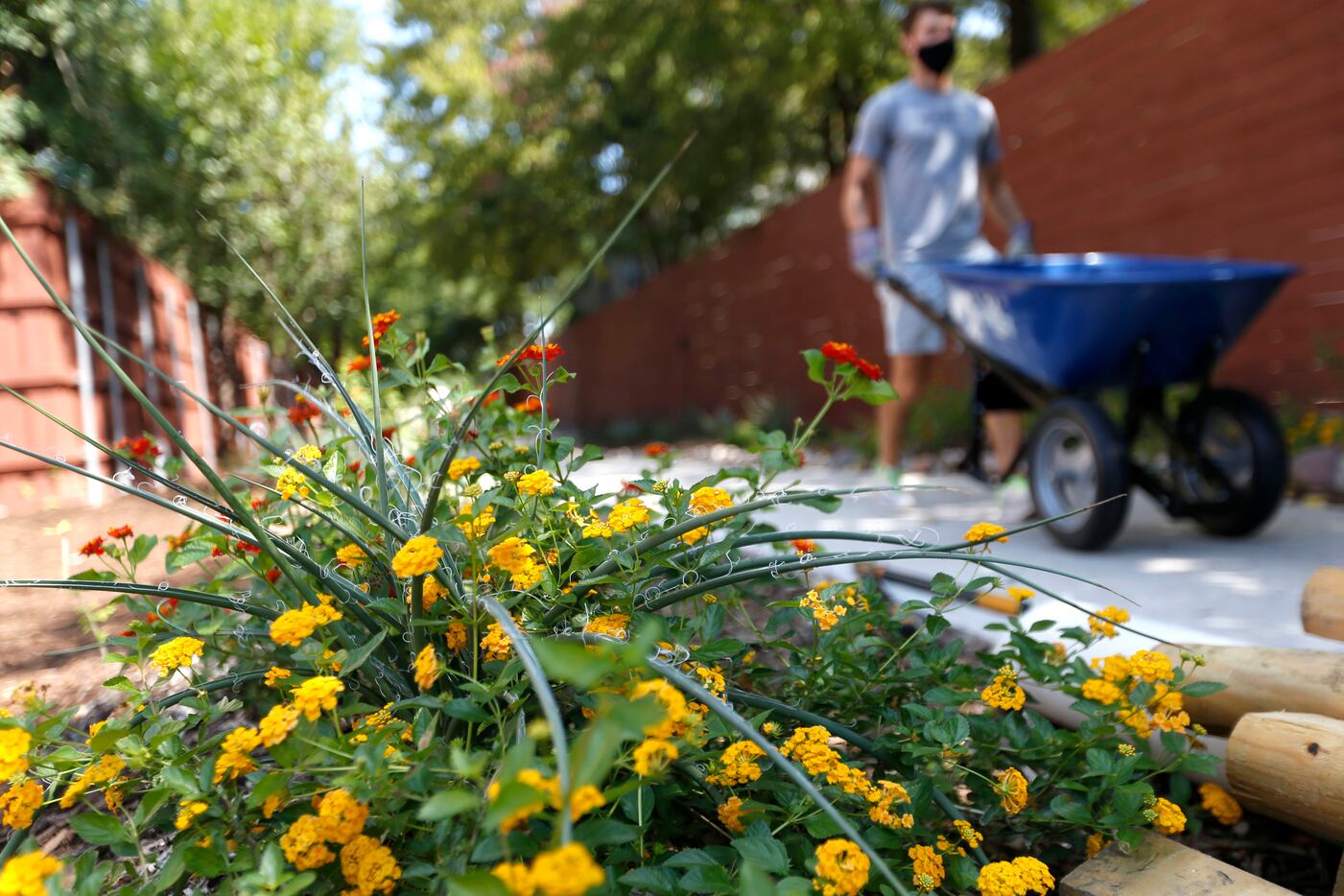 Newly installed plants bring a touch of color to the area as neighbors and friends of the...
