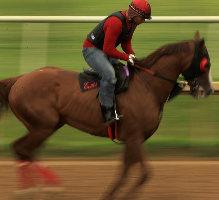 Exercise rider Diego Cervantes takes Gold Ranger around the track at Lone Star Park at Grand...