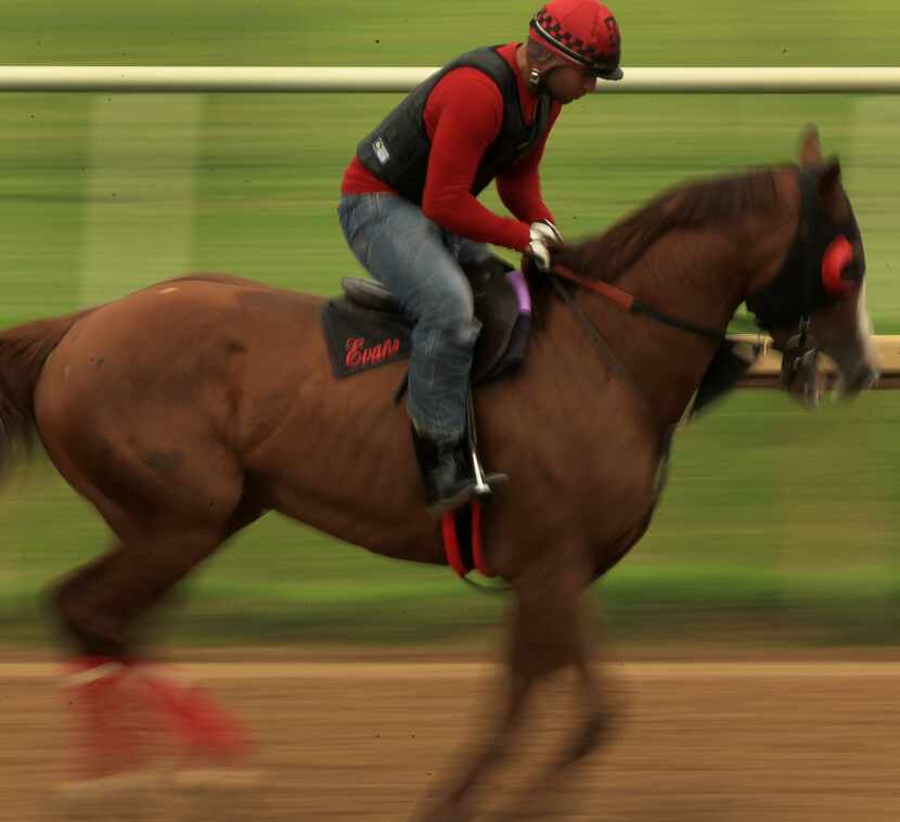 Exercise rider Diego Cervantes takes Gold Ranger around the track at Lone Star Park at Grand...