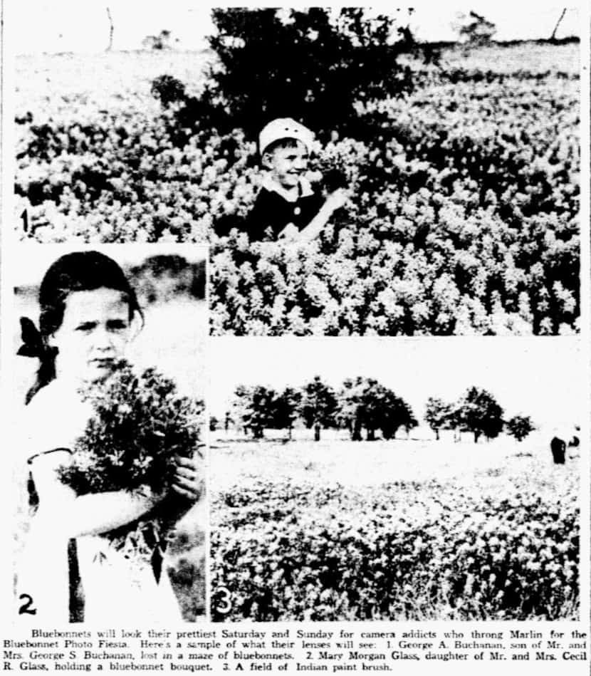 A 1938 image in The Dallas Morning News' archives of two children enjoying the vast field of...