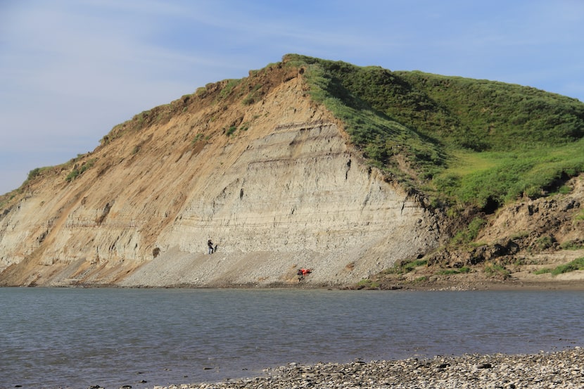 Dr. Paul McCarthy standing at the base of the bluff along Alaska's Colville River in 2012...