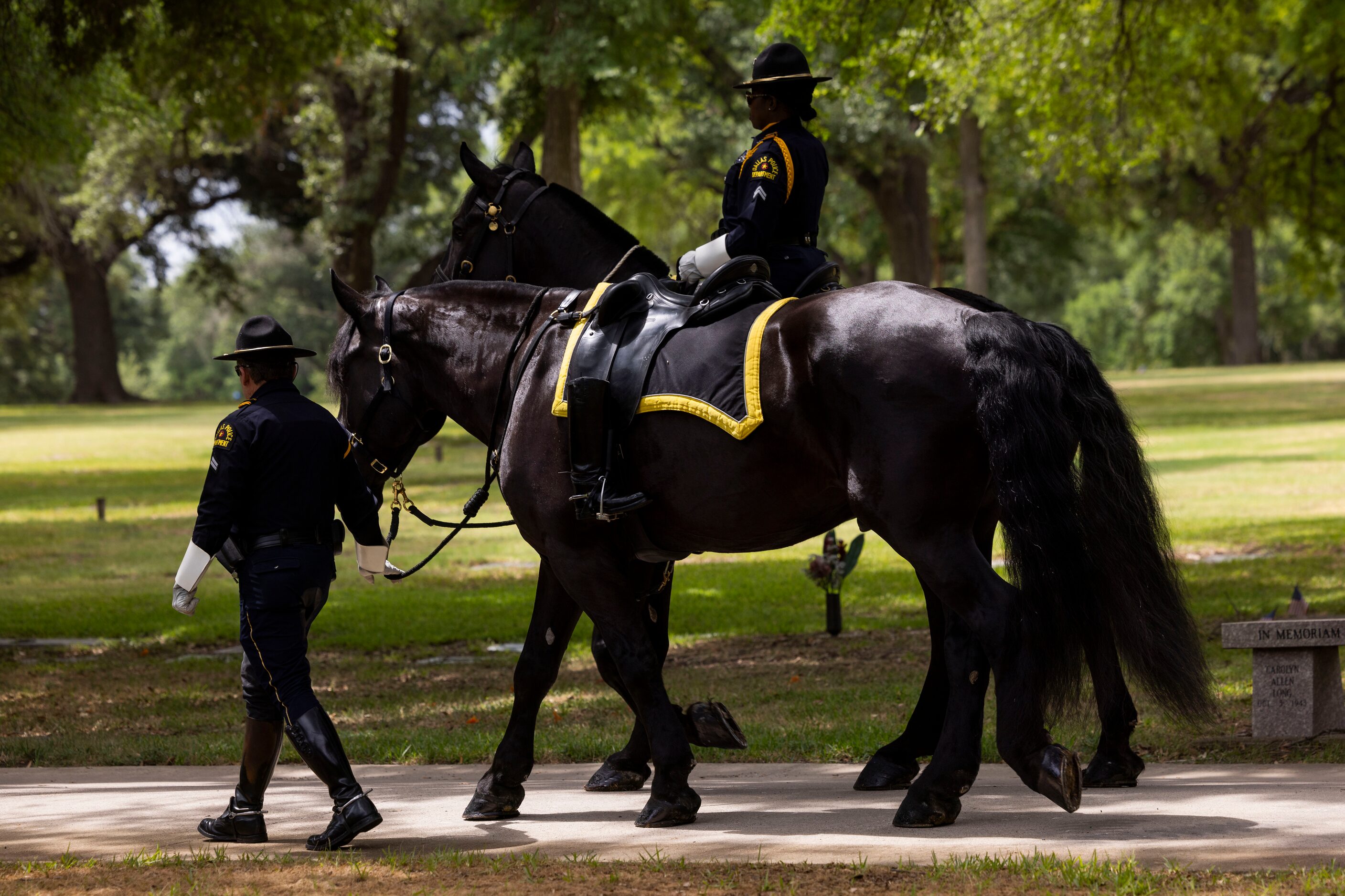 The Dallas Police Honor Guard guide a riderless horse as they render full line-of-duty death...