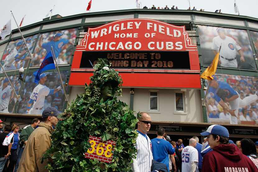 CHICAGO - APRIL 12: A fan dressed as the outfield ivy wall walks in front of Wrigley Field...