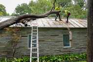 Giovanni Rosales (left) and Jerson Rosales of Primos Tree Service trim a tree that fell on a...