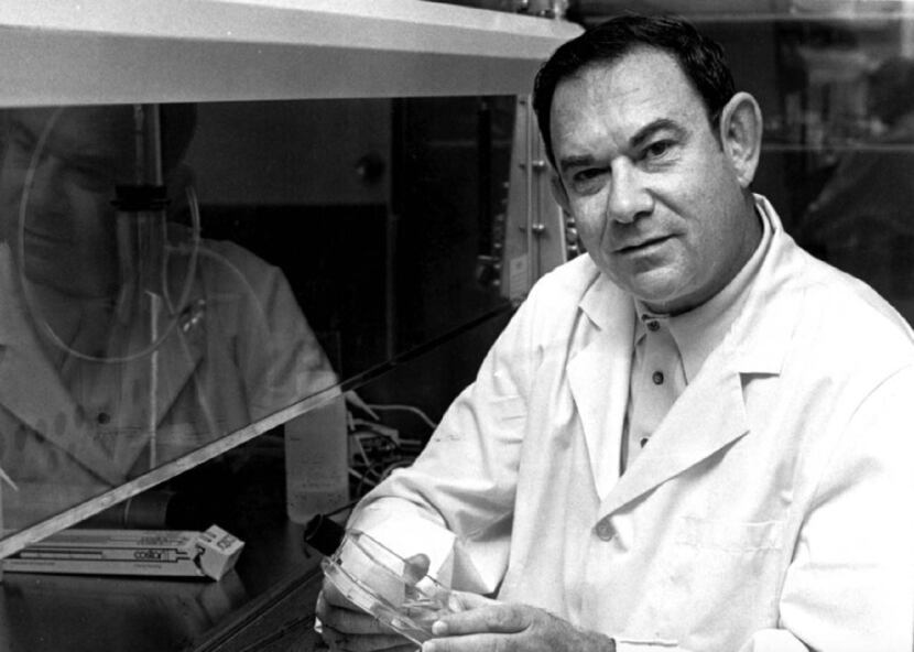 Leonard Hayflick at Stanford circa 1975, the year the National Institutes of Health...