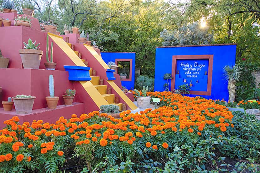 Sections of Frida Kahlo's Casa Azul home and gardens are re-created at the Tucson Botanical...