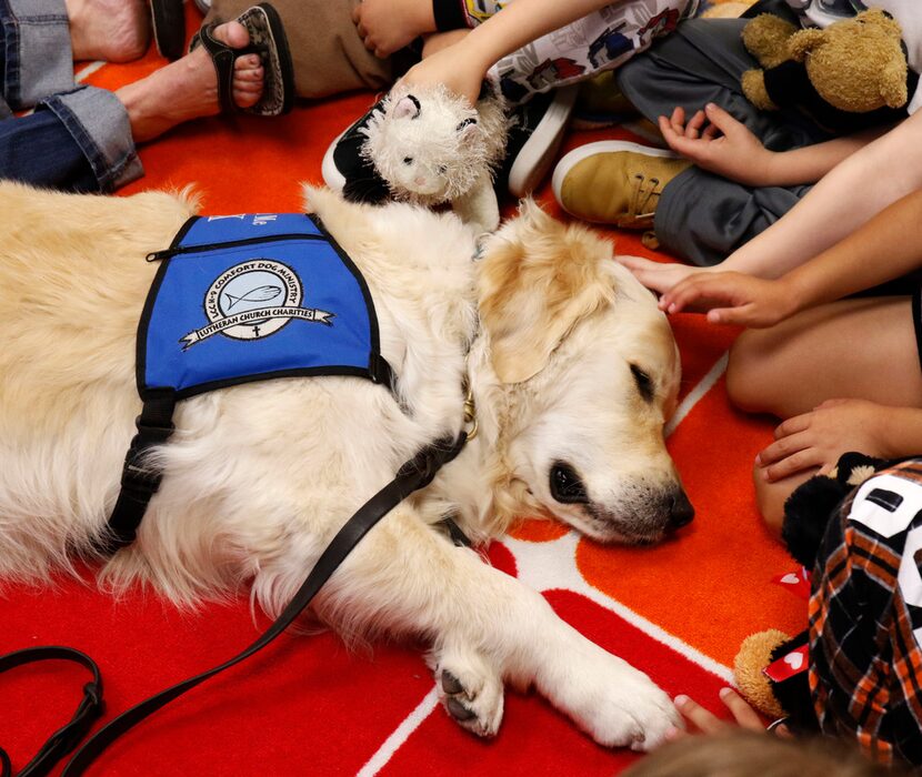 McCall Elementary School kindergarten students huddle around Pax, a Comfort Dog on reading...