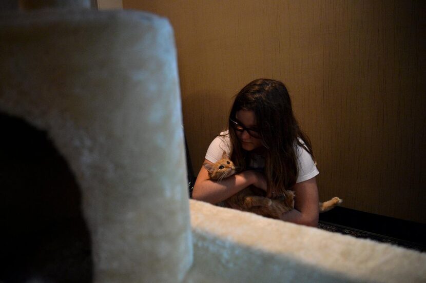 Vivian Long  of Richardson holds a cat at the pop-up cat cafe. The cats were provided by the...