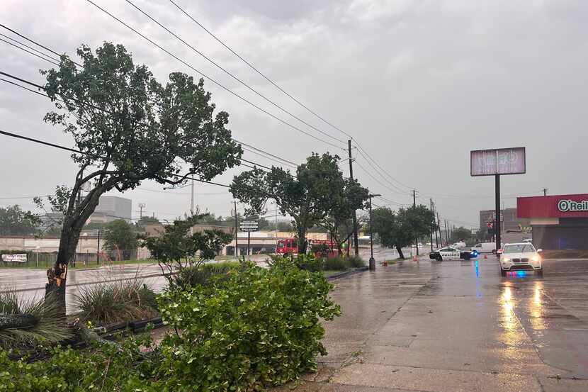 Ramas de árboles caídas a lo largo de Greenville Avenue y Phoenix Road en Dallas el martes...
