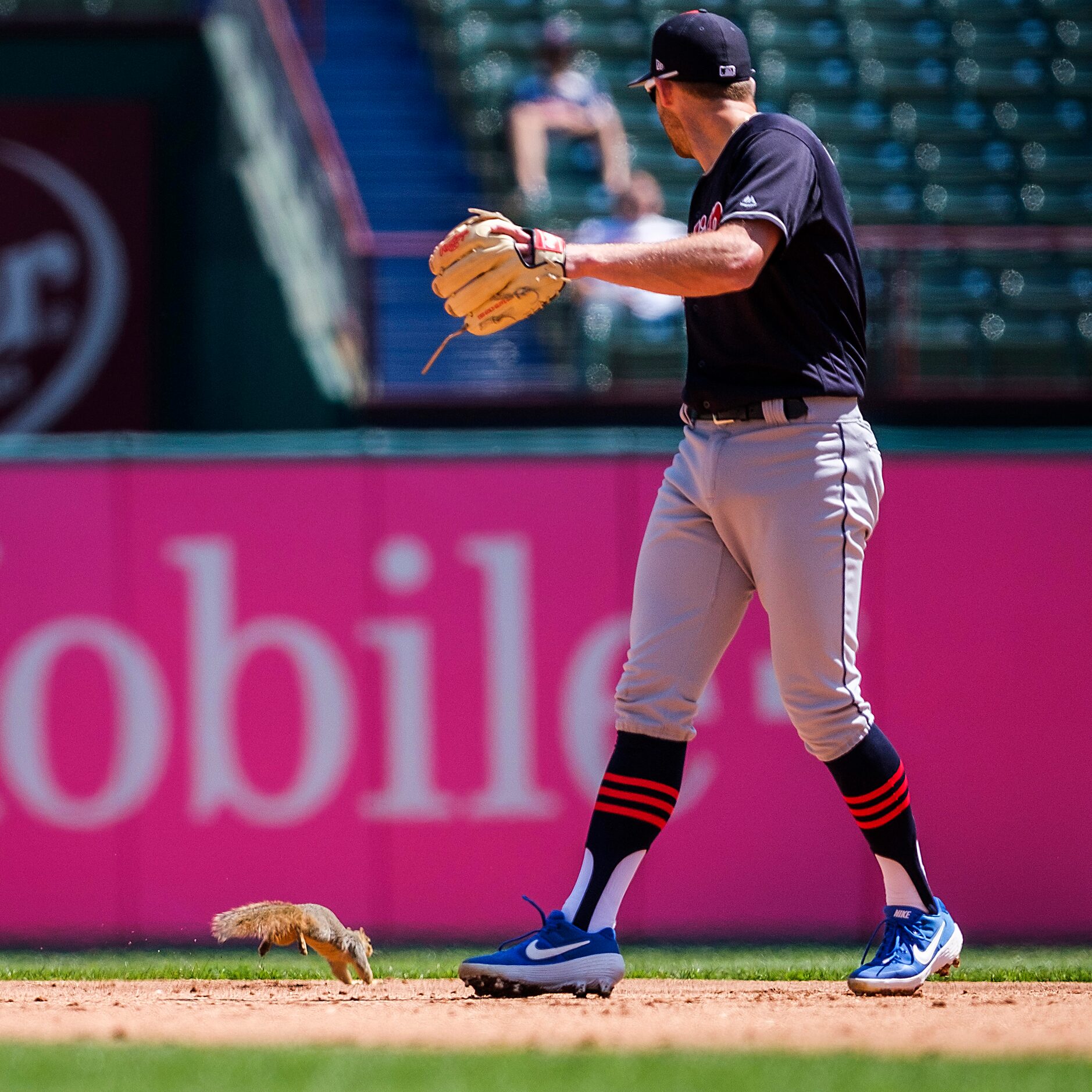 A squirrel race across the field behind Cleveland Indians second baseman Brad Miller during...