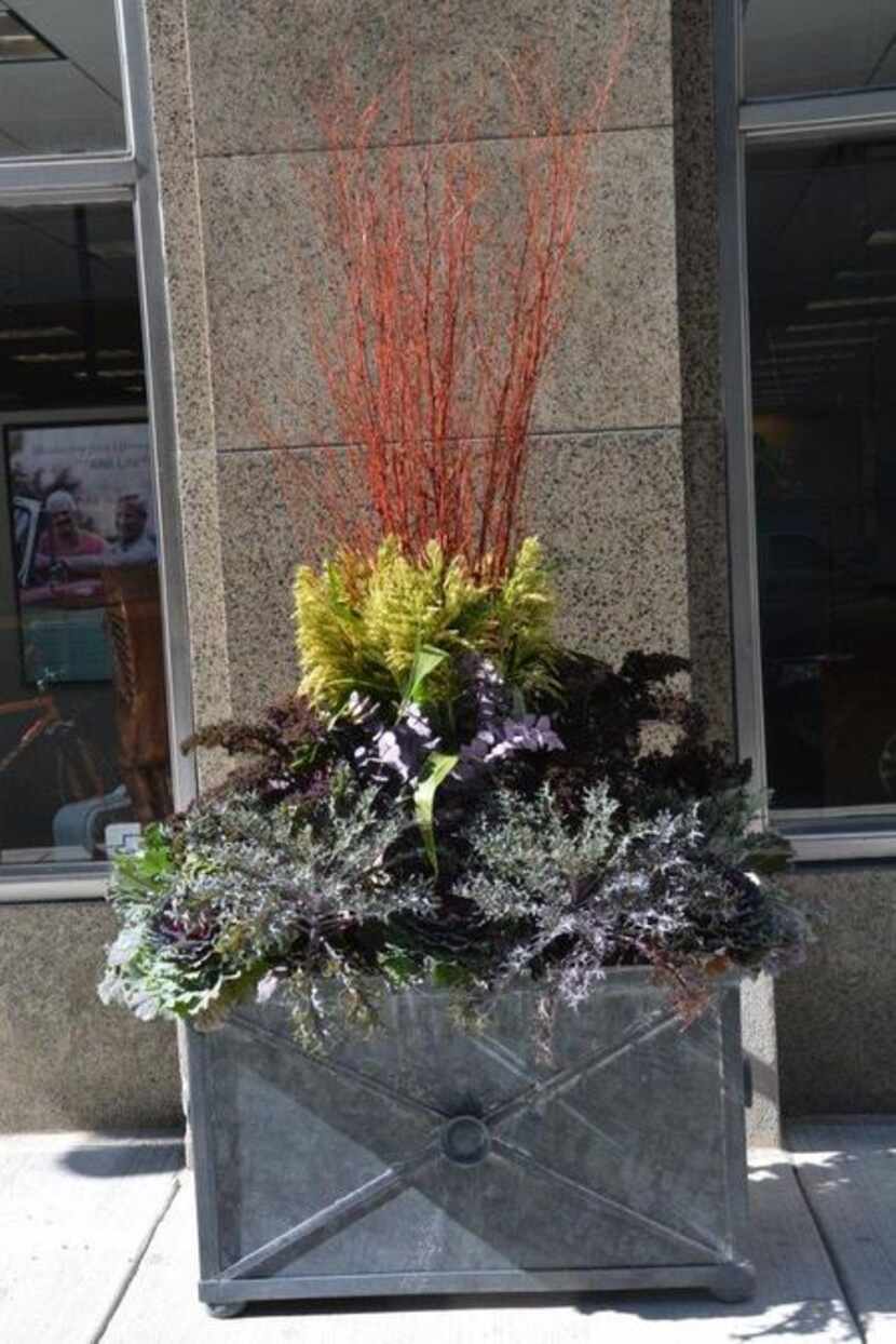 
Deborah Silver of Detroit gives proportion to a large zinc commercial planter of ornamental...