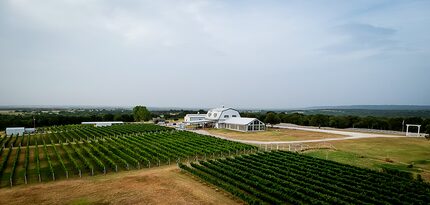 aerial view of vineyard and winery