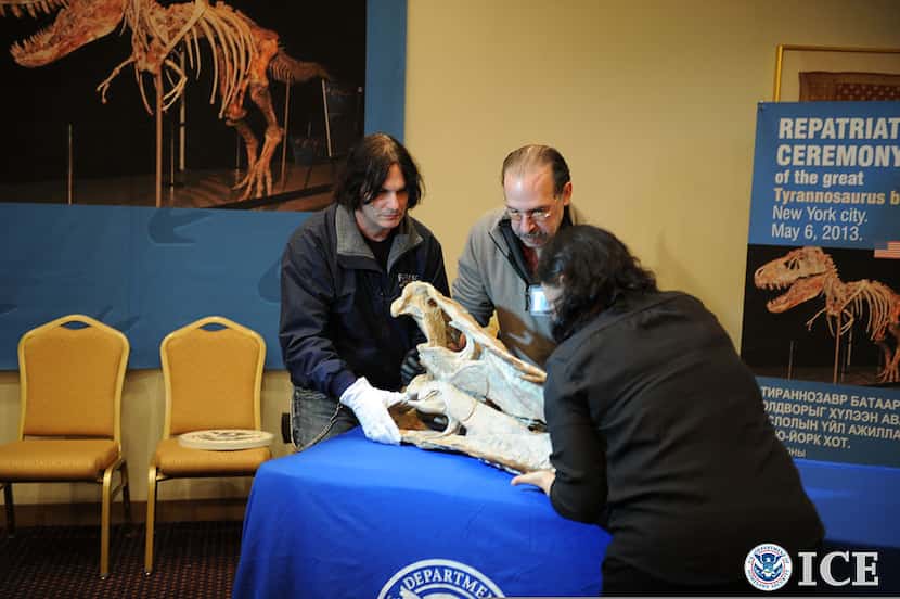 Federal agents display a dinosaur fossil that was among more than 18 returned to Mongolia...